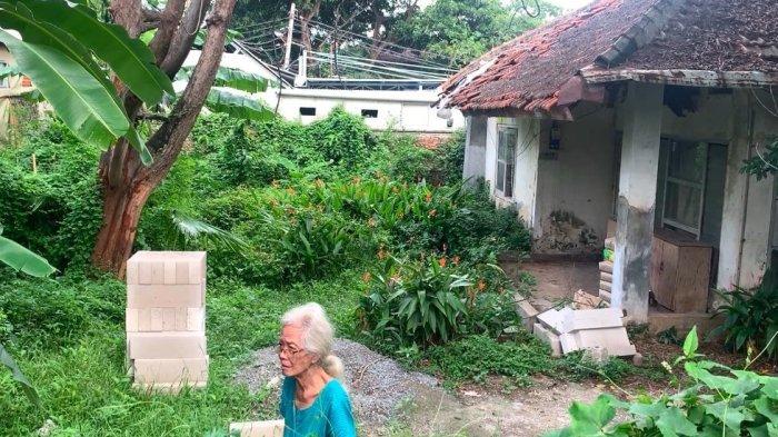 Oma Metia yang tinggal sendiri di rumaghnya, kawasan Cipete Utara, Jaksel, kini tenar di medsos.