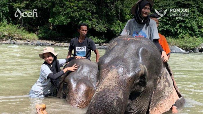 Pengunjung bermain air dengan gajah di CRU DAS Peusangan, Bireuen.