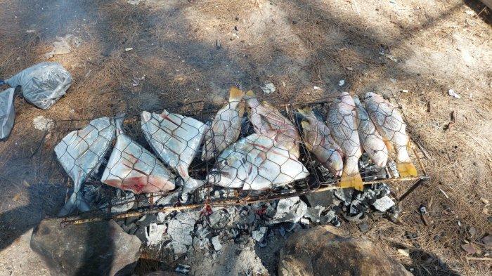 IKAN BAKAR - Ikan bakar merupakan menu istimewa yang kerap dinikmati wisatawan di muara danau Anak Laut, Gosong Telaga Barat, Kecamatan Singkil Utara, Minggu (9/2/2025)