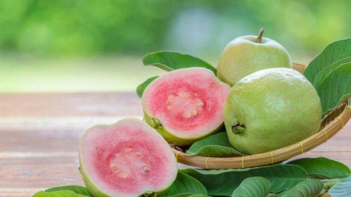 Ilustrasi buah jambu biji (Pixabay.com)