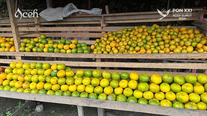 Jeruk Keprok khas Tanah Gayo.