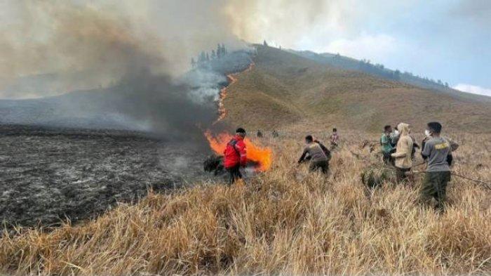 Petugas gabungan dan relawann berusaha memadamkan kebakaran sabana Bromo, Jawa Timur. Balai Besar Taman Nasional Bromo Tengger Semeru menutup seluruh objek wisata di Bromo akibat kebakaran yang kian meluas.