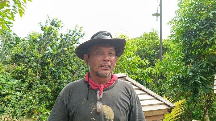 Mahdi Ismail, seorang sarjana kehutanan asal Desa Pasir Putih, Kecamatan Ranto Peureulak, Aceh Timur, telah menciptakan peluang usaha unik dengan membudidayakan madu linot (kelulut)