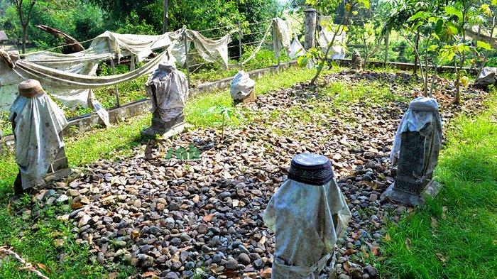 Makam sultan Pidie yang bergelar Sultan Ma’ruf Syah (Po teuh Al-Marhum) di Dayah Tanoh Keulibeut, Kecamatan Pidie, Kabupaten Pidie, Aceh.