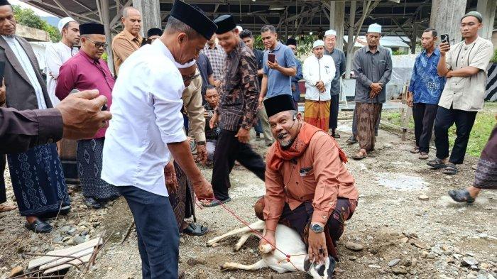 PELATIHAN PENYEMBELIHAN - Peserta pelatihan sedang diperlihatkan penyembelihan hewan secara syar’i oleh MPU Aceh di Arena Motel, Blangpidie, Senin (16/6/2025).