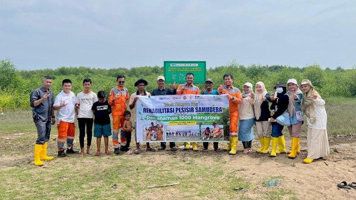 Peringati Hari Mangrove Sedunia, PT PIM Tanam 1000 Bibit Pohon Mangrove