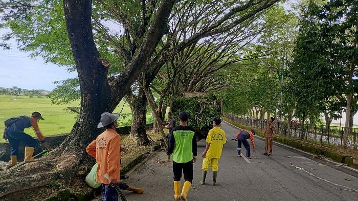 Pegawai Dinas Perkim LH Kabupaten Aceh Barat Daya (Abdya) membersihkan dahan pohon di Jalan Perkantoran Bukit Hijau, tepatnya di Gampong Keude Paya, Kecamatan Blangpidie, kabupaten setempat, Senin (21/7/2025).
