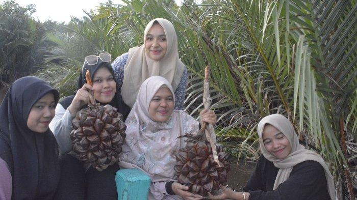 Pengunjung mengamati keindahan pulau sada yang dipenuhi pohon nipah di kawasan Desa Suak Timah, Kecamatan Samatiga, Kabupaten Aceh Barat, Sabtu (12/8/2023)