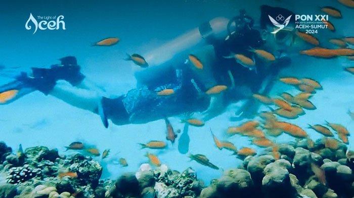 Wisatawan menyelam di Pulau Rubiah, Sabang.