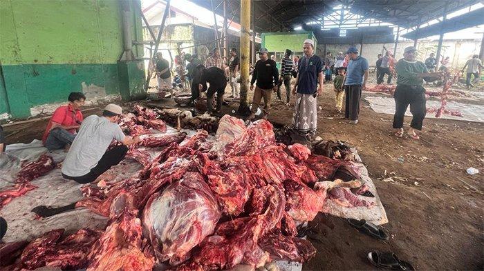 Gampong Lueng Bata Sembelih 30 Sapi dan 20 Ekor Kambing Kurban