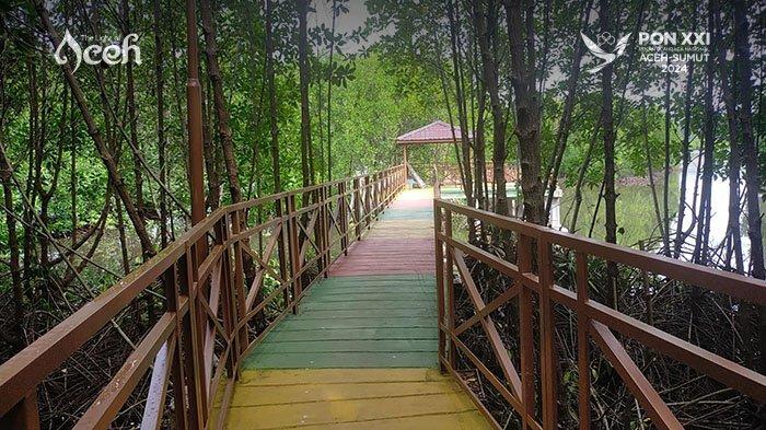 Jalur trekking Taman Mangrove Aceh Jaya di Gampong Sayeung, Kecamatan Setia Bakti, Kabupaten Aceh Jaya.
