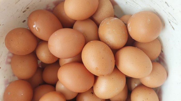 Efek Samping Banyak Makan Telur Setiap Hari, Apakah Baik Bagi Kesehatan