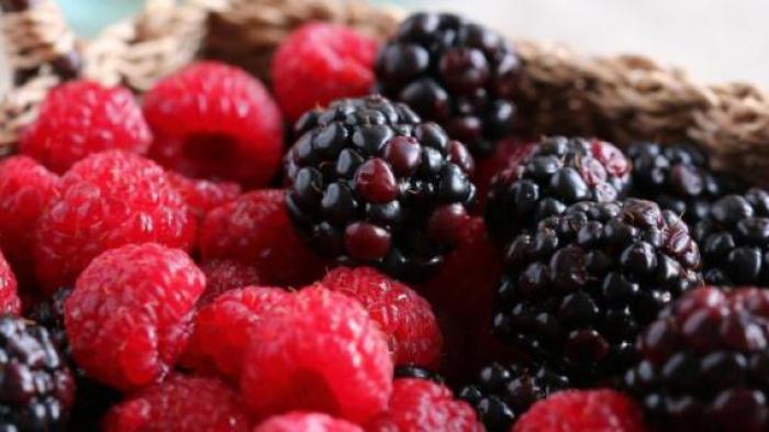 ilustrasi buah berry