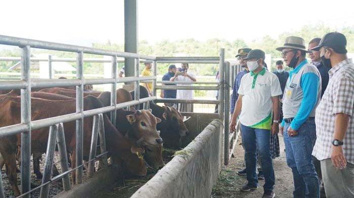 Bupati Aceh Tenggara Buka Peluang Investasi Kakao