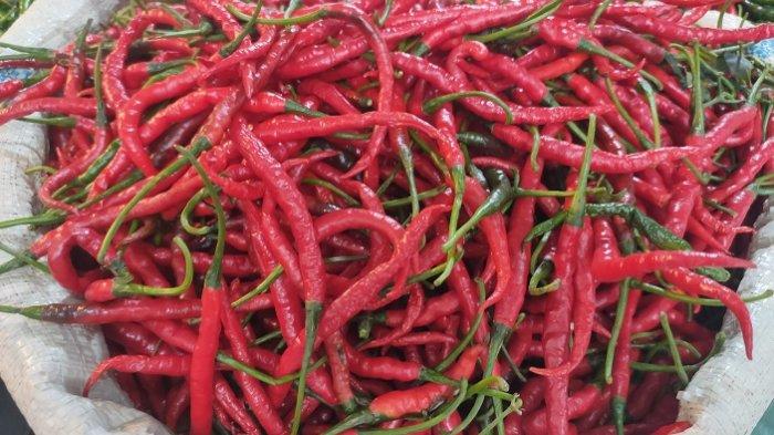 cabai merah