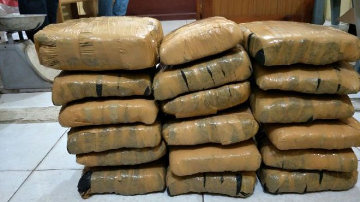 Ilustrasi paket ganja