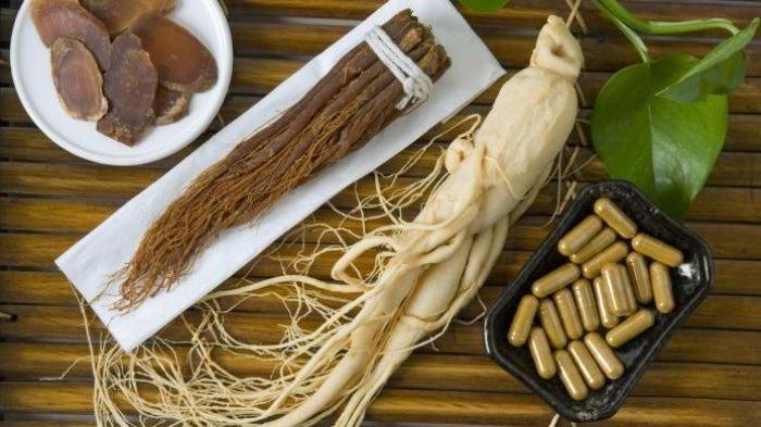 Ilustrasi akar ginseng (Kompas.com)
