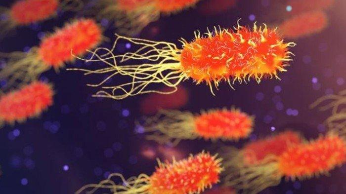 Penyakit menular yang umum di dunia umumnya disebabkan infeksi dari mikroorganisme virus, bakteri, jamur, dan parasit.