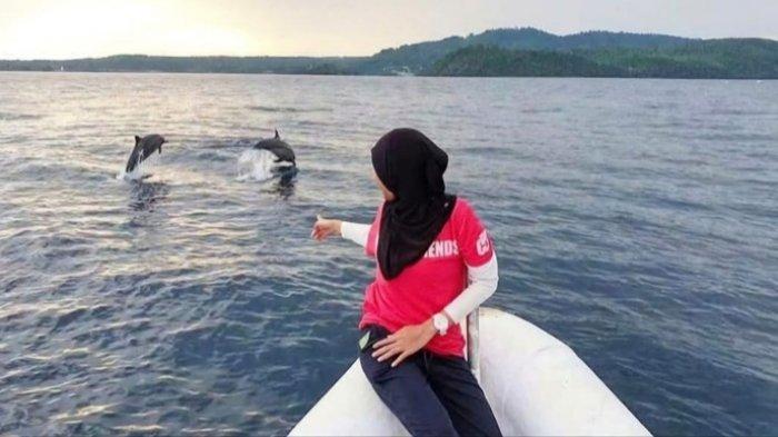 Seorang wisatawan mengabadikan momen kemunculan lumba-lumba liar di perairan Iboih, Sabang, baru-baru ini. 