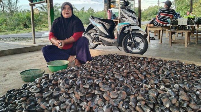 Penjual lokan di pinggir jalan Singkil-Singkil Utara, kawasan Desa Gosong Telaga Barat, Singkil Utara, Kamis (18/6/2020). Lokan yang diambil dari sungai tempat buaya bersarang itu sepi pembeli.
