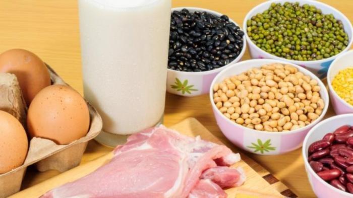 Ilustrasi beragam makanan sumber protein