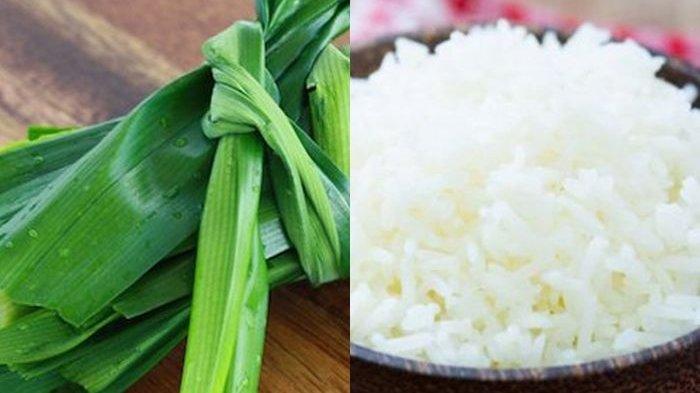 Menambahkan daun pandan saat masak nasi ternyata simpan manfaat baik untuk kesehatan