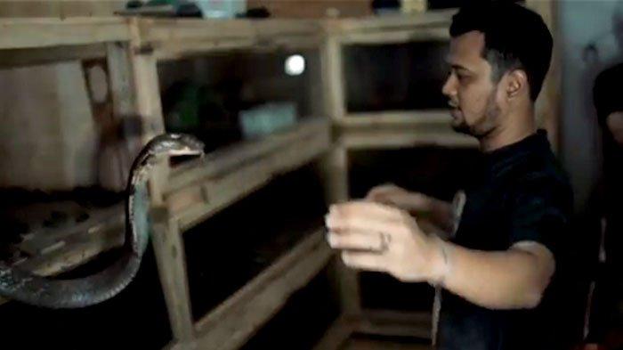Panji Petualang dan ular king kobra peliharaannya yang diberinama Garaga. Menjelang tahun baru 2020 tepatnya 30 Desembe 2019, Panji Petualang digigit ular peliharaannya hingga jari manisnya robek.