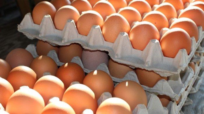 Telur ayam 