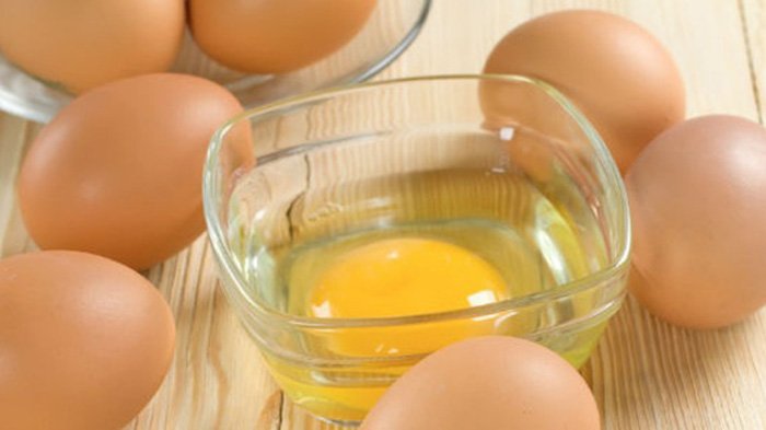 Telur