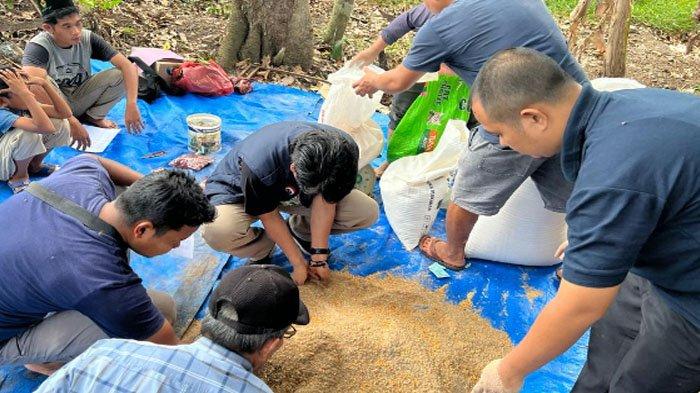 Dosen USK Berdayakan Peternak Puyuh, Beri Pedampingan Program Vaksinasi ...