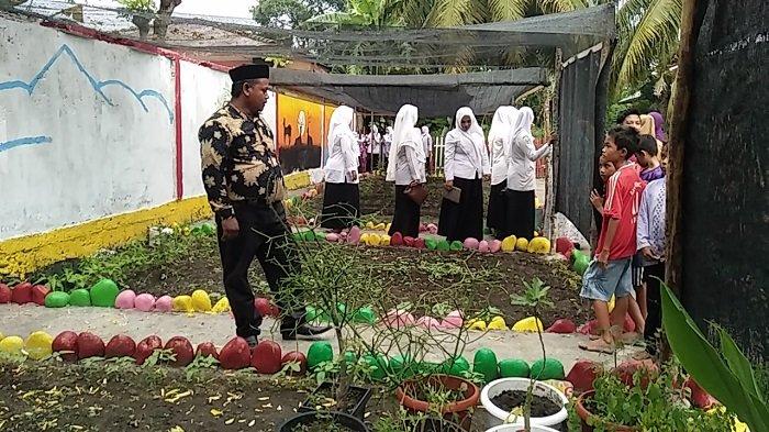 Tanaman Toga dan Rumah Botol di Juli Meunasah Jok Jadi Lokasi Wisata ...