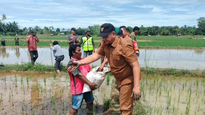 Jumlah Hewan Kurban di Aceh Tamiang 2.382 Ekor, Pemeriksaan Kesehatan Gratis  - Serambinews.com