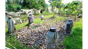 Makam-sultan-yang-bergelar-Sultan-Maruf-Syah.jpg