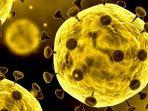 ilustrasi-virus-corona.jpg