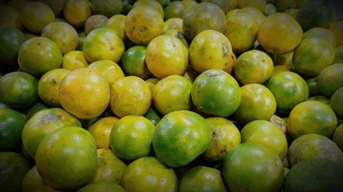 Buah jeruk