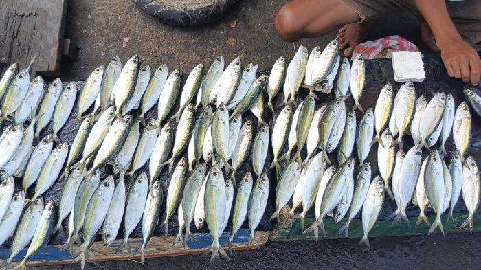 NAMLEA: Hanya berselang tiga hari, harga ikan di Pasar Inpres, Kota Namlea, Kabupaten Buru kembali Naik, Jumat, (19/4/2024).