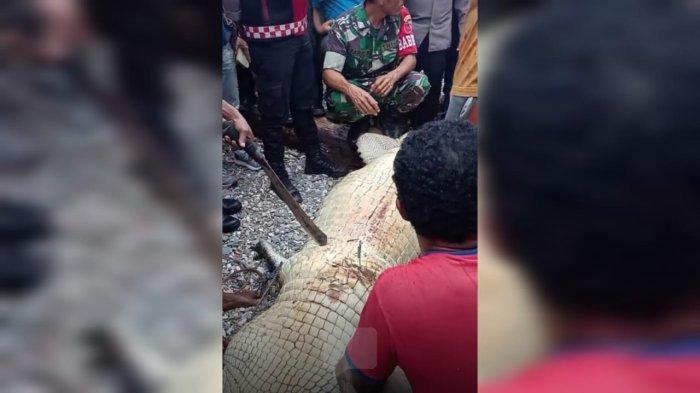 Warga Desa Wali, Kecamatan Namrole, Kabupaten Buru Selatan tewas diterkam buaya saat sedang mandi di sungai, Selasa (20/8/2024).