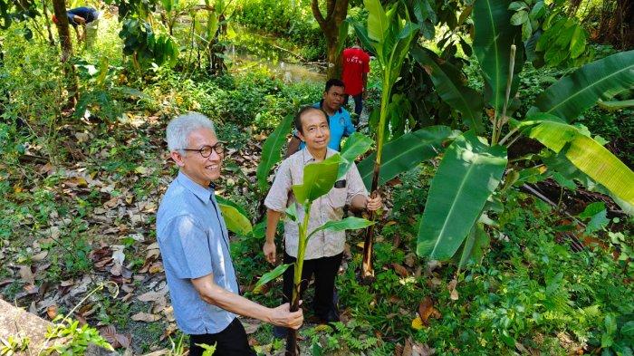 Dr. Sanggono Adisasmito dan Dr. Leo Aldianto dari Institut Teknologi Bandung ikut menanam Pisang Tongka Langit di Negeri Rutong