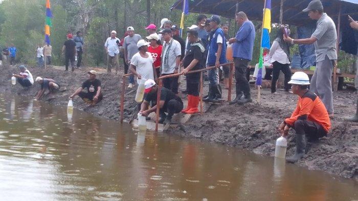 UDANG VANAME - Penebaran 100.000 benih udang Vaname  oleh kepala dinas Perikanan dan Kelautan Erawin Asikin bersama masyarakat desa Sesar, kota Bula, kabupaten SBT, Maluku, Jumat (25/4/2025).