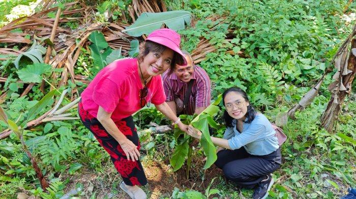 Prof. Lienda A. Handojo dan Dr. Graecia Lugito dari Institut Teknologi Bandung (ITB) saat menanam anakan Pisang Tongka Langit di Negeri Rutong.