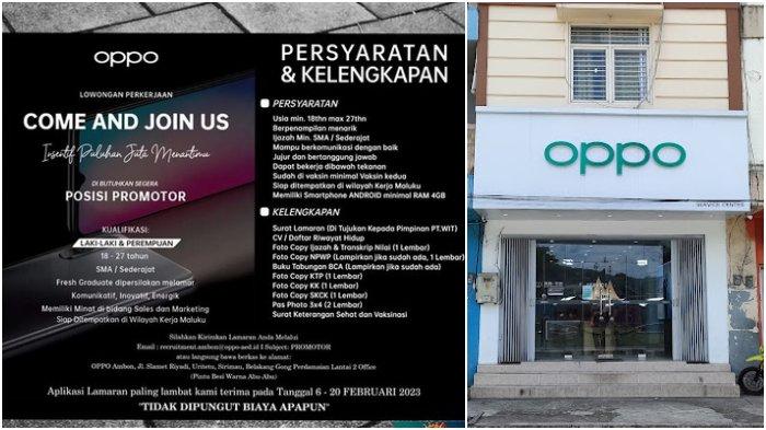 Oppo Ambon Buka Lowongan Kerja Untuk Lulusan Sma Siap Ditempatkan