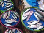 Ikan-murah-jua.jpg