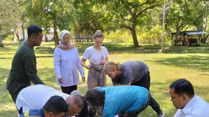 Petugas TNBB saat melakukan tindakan terhadap Rusa Timor yang ditemukan tenggelam di tambak udang, Rabu 26 Juni 2024 sore.