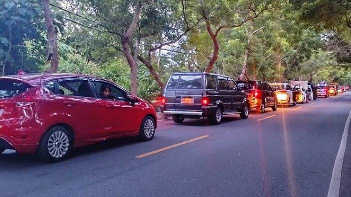 Antrean panjang mengular hingga hutan cekik, ribuan kendaraan kosongkan Bali