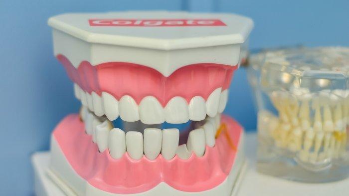 Ilustrasi - 5 Arti Mimpi Tumbuh Gigi, Pertanda Akan Mendengarkan Kabar Baik