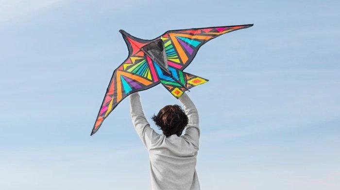 Ilustrasi - 10 Arti Mimpi Layang-Layang, Melambangkan Harapan Hingga Keberuntungan