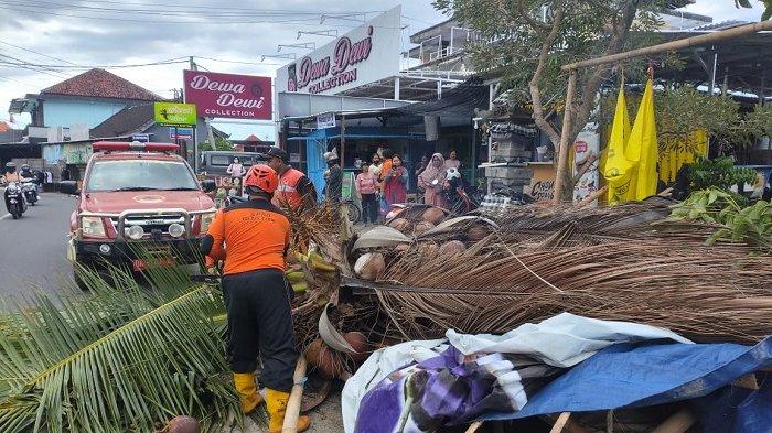 BPBD Buleleng saat mengevaluasi material pohon tumbang. Kamis (1/8/2024)