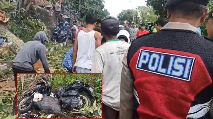 BREAKING NEWS: Pemotor Asal Singaraja Tewas Kecelakaan di Banjar Kiadan Badung, Tertimpa Pohon