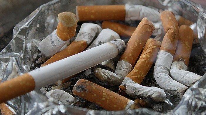 Ilustrasi rokok - Tarif cukai rokok bakal naik lagi tahun depan. Kementerian Keuangan (Kemenkeu) mengaku telah menerima persetujuan untuk menaikkan tarif cukai hasil tembakau (CHT) alias cukai rokok pada tahun depan.
