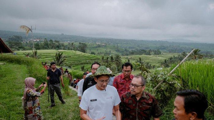 Pansus TRAP DPRD Bali Cek Kebijakan DTW Jatiluwih, 13 Bangunan Melanggar Siap Dibongkar